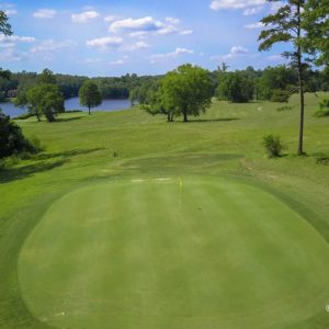 Manicured golf course greens